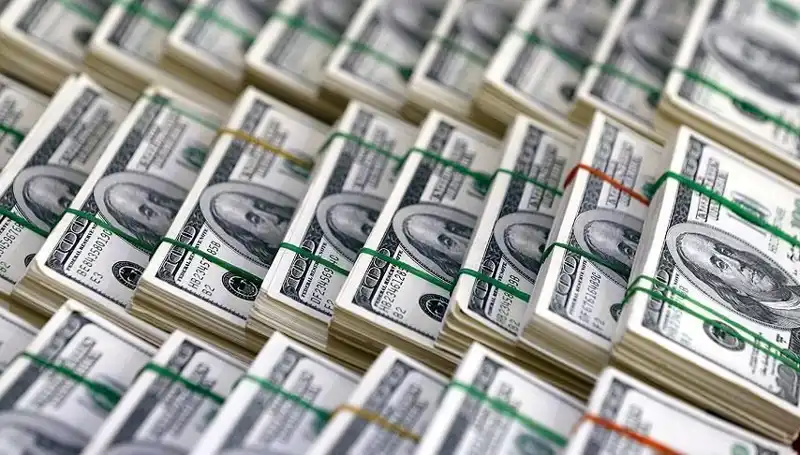 Doların Yükselişi Tehlike Mi? Ekonomistler Uyarıda Bulundu