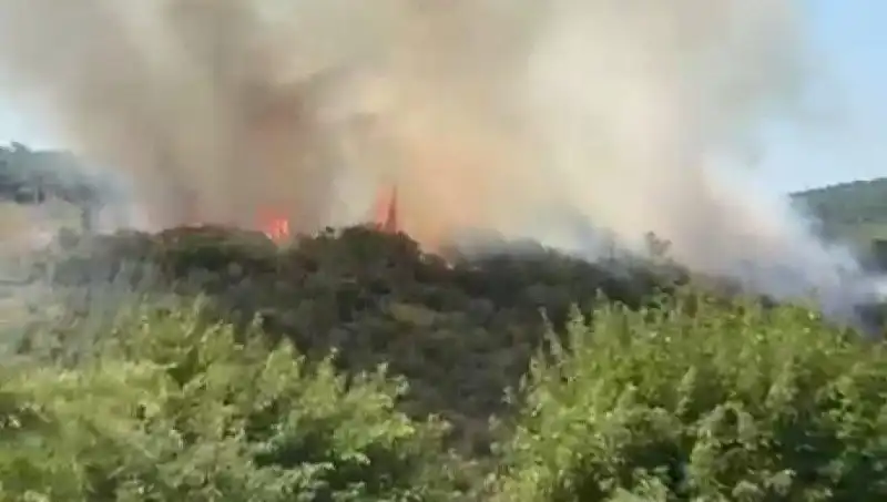 İstanbul'da Telaş Yaratan Orman Yangını: Vatandaşlar Acil Tahliye Edildi