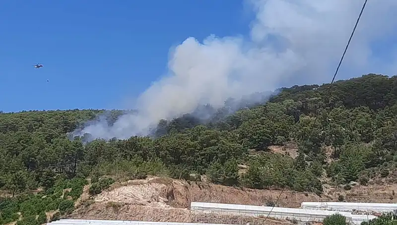 Kumluca'da Korkutan Orman Yangını: Ekipler Seferber Oldu