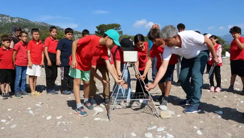 Kemer'de Caretta Caretta Koruma Yasakları Hayata Geçti: Bilinmeyenler