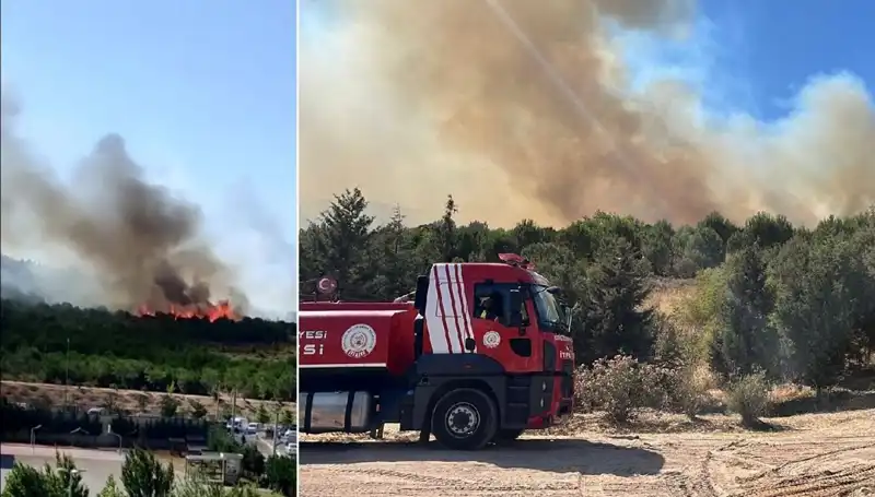 Gebze'de Korkunç Orman Yangını: Alevler Evleri Tehdit Ediyor