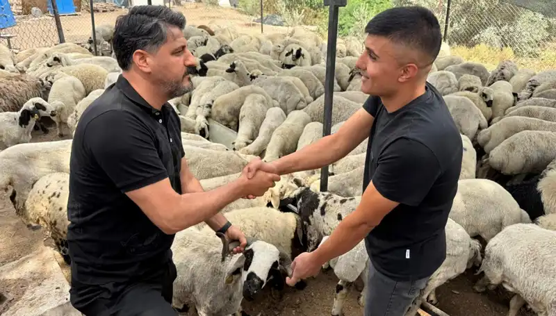 Kurbanlık Seçerken Dikkat Edilmesi Gerekenler: Tuz ve Sumak Uyarısı!