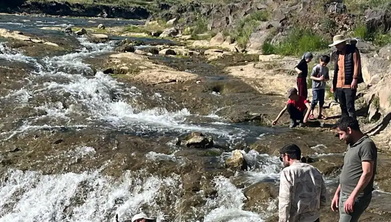 İnci Kefalinin Göçü: Doğanın Mucizesiyle Tanışın