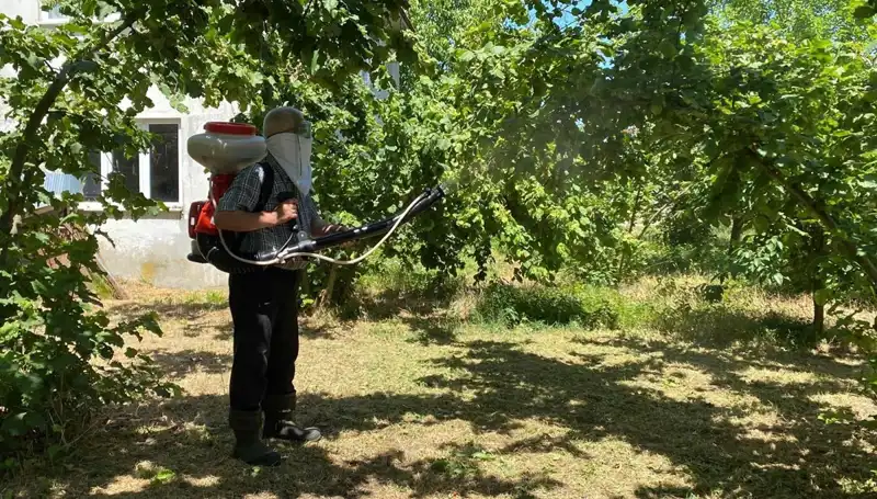 Kükürt ve Samuray Arısı: Çiftçiler İçin Yeni Umut Kaynağı