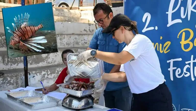 Antalya'da İstilacı Aslan Balığı Avlama Yarışması: Doğa İçin Bir Adım!