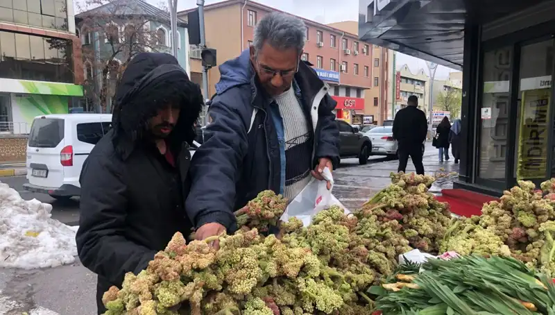 Kendiliğinden Yetişen Bu Bitki, Kanserle Savaşta Yeni Bir Umut Sunuyor