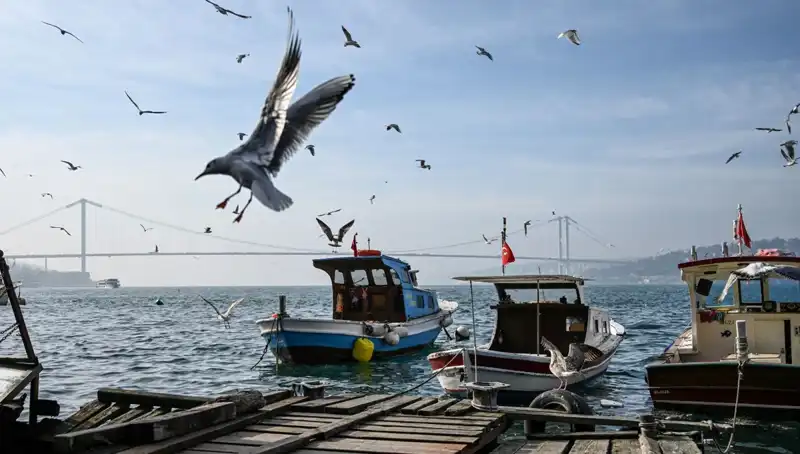 İstanbul'da Bahar Havası: Hava Açıyor ve Tarih Belli Oldu!