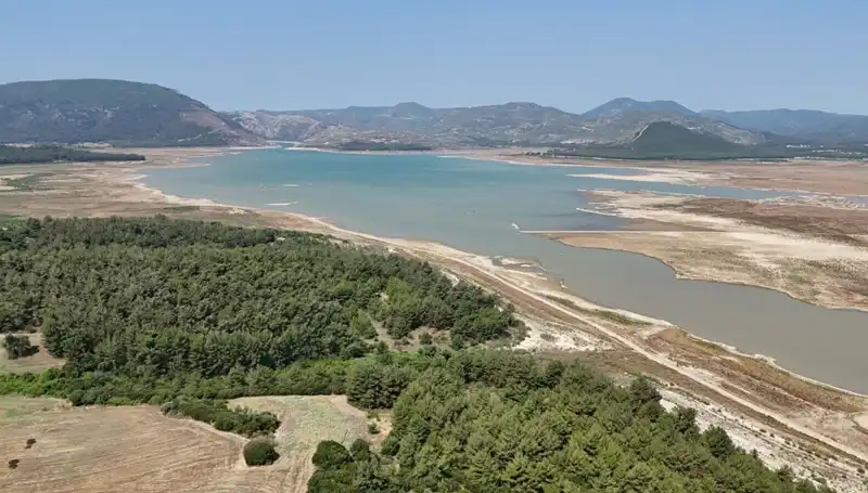 İzmir'de Tehlike Çanları: Geçen Yıla Göre Yüzde 50 Düşüş Elde Edildi!