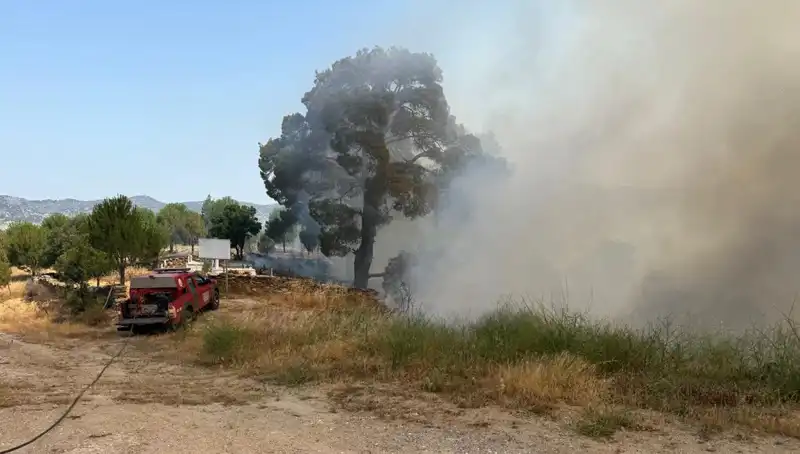 Muğla'da Yangın Alarmı! Ormanlık Alanlarda Büyüyen Tehlike Ne Olacak?