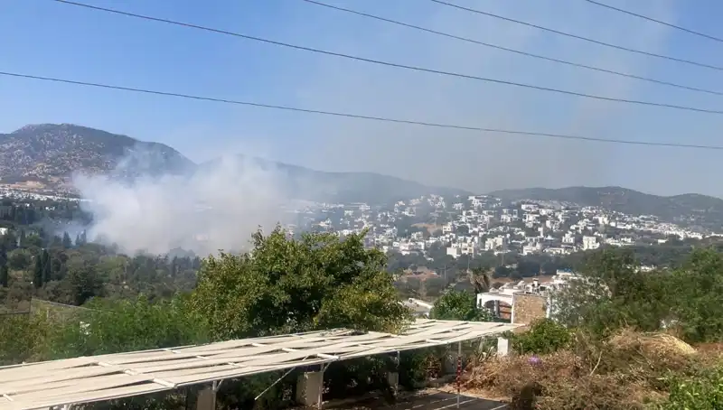 Muğla'daki Orman Yangınları Kontrol Altına Alındı: Yangın Sonrası Durum Raporu