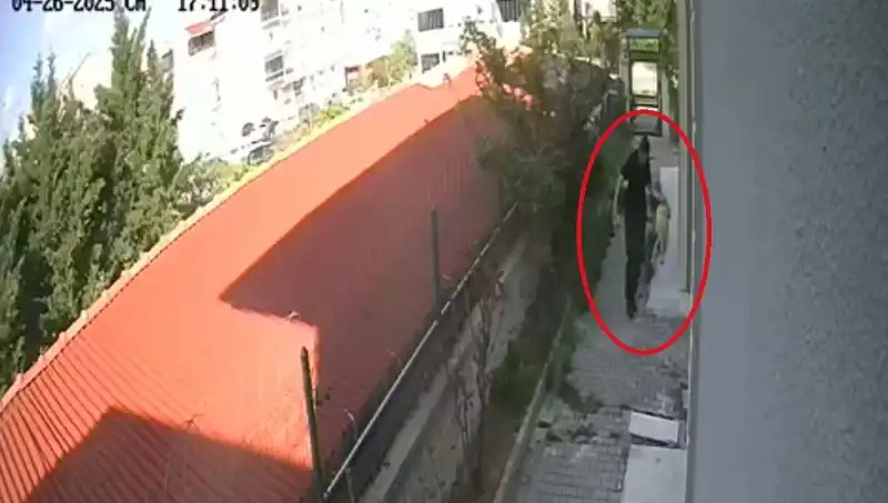 Hayvansever Doktorun Korkunç Sırrı: Evdeki Köpekleri Vahşice Öldürmesi