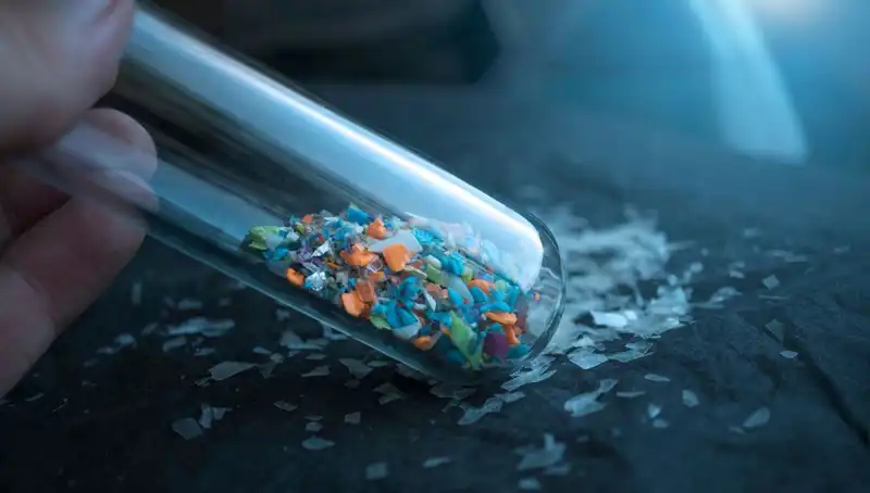 Mikroplastikler Beynimize Sızıyor: Sağlık Üzerindeki Şok Edici Etkileri