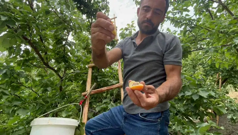 Lezzetiyle Fark Yaratan Ürün: Tadı Damakta Kalan Harika İkram!