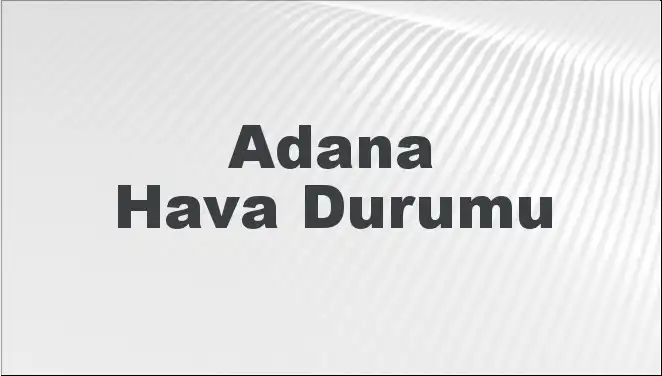 Yeni Yılda Sağlığınızı Artıracak 5 Besin Önerisi