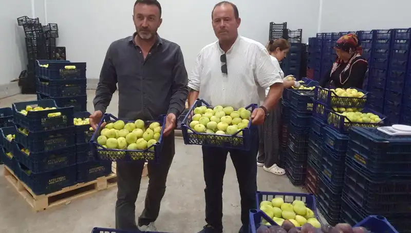 Mersinli Çiftçinin Yüzü Güldü: İhraç Edilen Ürünler 20 TL’den Satılıyor
