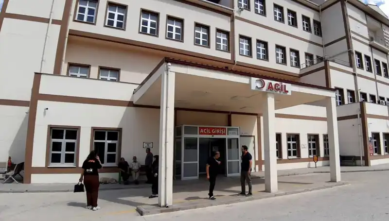 Bolu'da Avcılar İçin Tartışmalı Ayı Avı Kararı Alındı