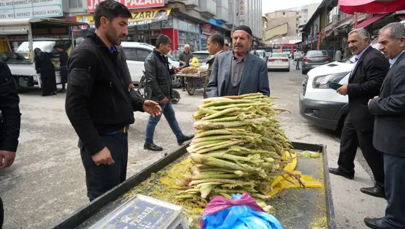 Dağların Gücünden Gelen Şifa: Şeker ve Mide Hastalıklarına İyi Gelen Bitki!