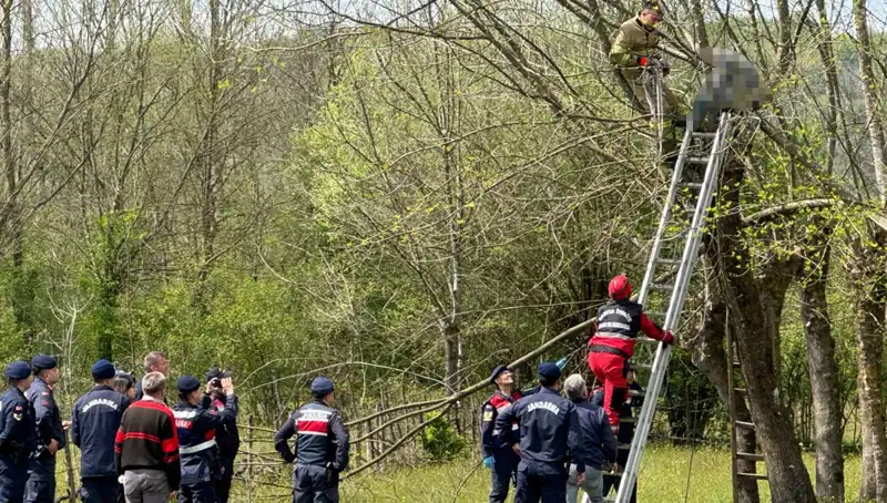 Ağaç Budarken Beklenmedik Kalp Krizi: Hayatını Kaybetti