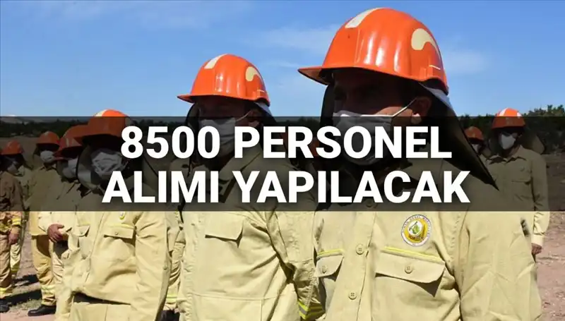 Tarım ve Orman Bakanlığı 2025'te 8500 Yeni Personel Alacak: Şartlar ve Tarihler Açıklandı mı?