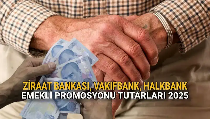 2025’te Kamu Bankaları Emekli Promosyonları: Ziraat, Vakıfbank ve Halkbank Karşılaştırması