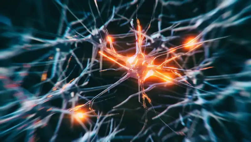 Alzheimer Vakaları Neden Artıyor? Sağlık Dünyasında Endişe Yaratıyor!