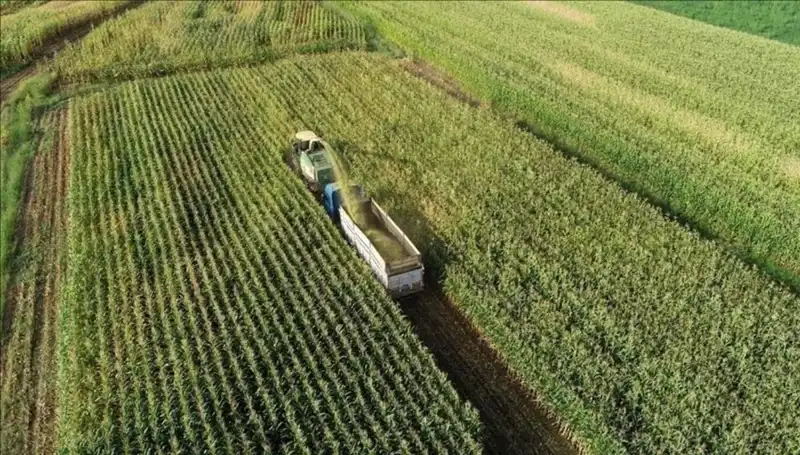 Mart 2025 Mazot ve Gübre Desteği Ödemeleri: Beklenen Tarihler ve Detaylar