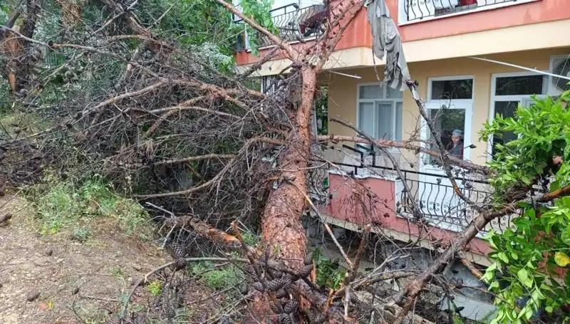 Yağmur, Eski Bina Görümünde Yıkıma Yol Açtı: Korkutan Olay!