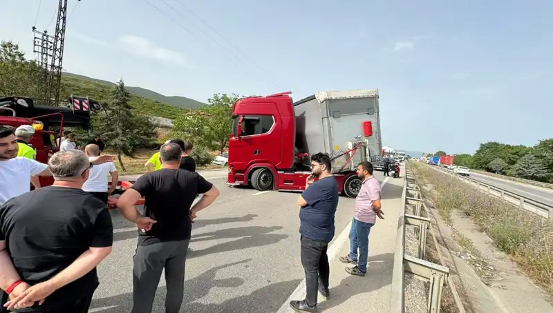 Seyir Halindeki Araçta Arı Sokması: Trafikte Felç Durumu Oluştu