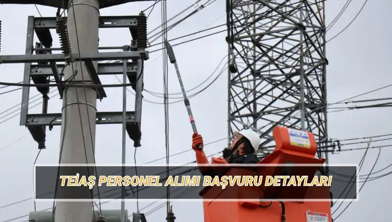 TEİAŞ Personel Alımı Başvuru Tarihi ve Detayları Açıklandı!