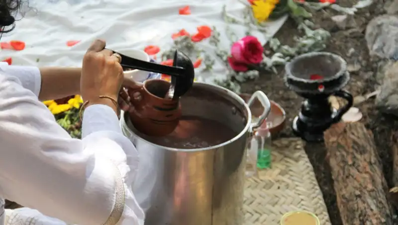 Ayahuasca: Gizemli Şifalı İçecek ve Hukuki Durumu