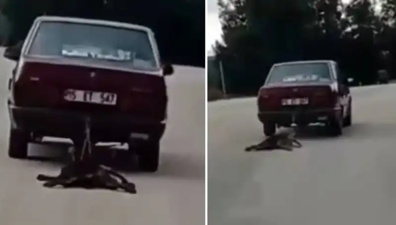 Sürüklenen Köpek Kazası: Hayvanseverleri Ayaklandırdı