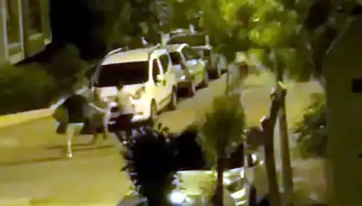 Avcılar'da Saldırıya Uğrayan Vatandaşı Çevredekiler Kurtardı: Olayın Detayları