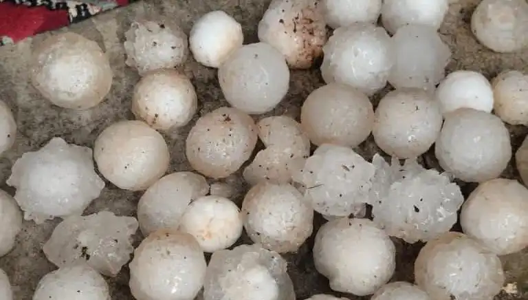 Şanlıurfa’da Kar Topu Gibi Dolu Yağışı Şok Etkisi Yarattı!