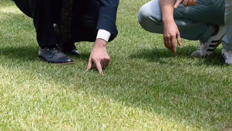 Yeni Stadyum Zemininde Beklentiler Artıyor: İddialı Açıklama Geldi