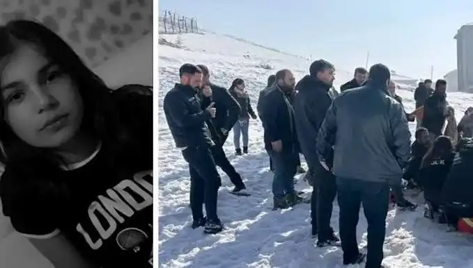Yüksekova'da Köpek Saldırısı: Belediye Başkanı Hakkında Soruşturma İzni Çıktı