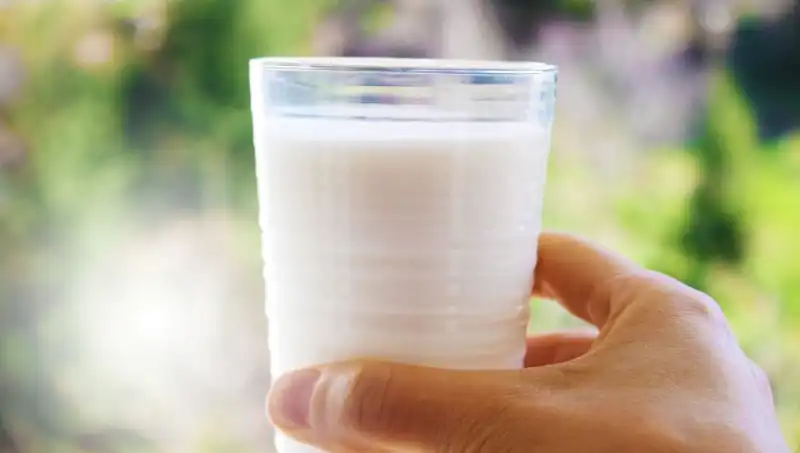 Süt Tüketimi: Şişkinliğe Neden Olur mu? Uzman Yanıtlıyor