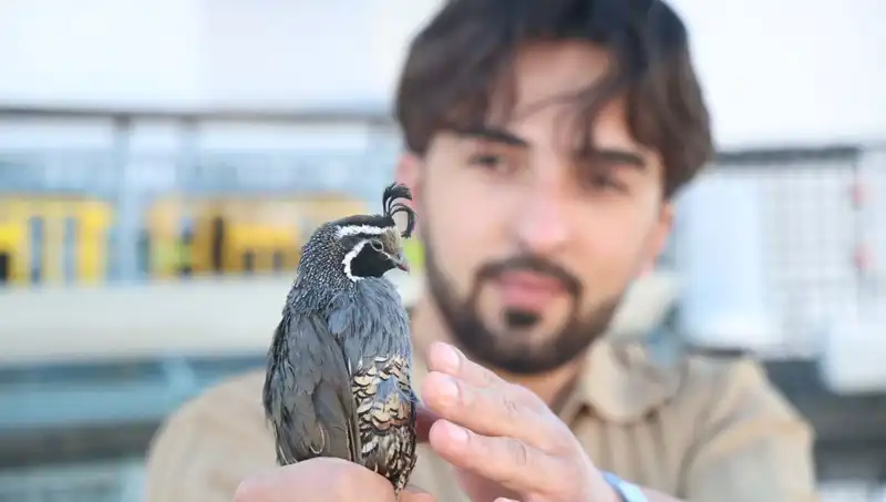 ABD'den Sipariş Alan Genç Girişimci, Dünyaya İhracat Yapmaya Hazırlanıyor