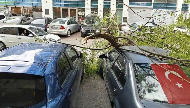 Kayseri'de Dalları Kıran Fırtına: Doğanın Gücü Neler Getirdi?