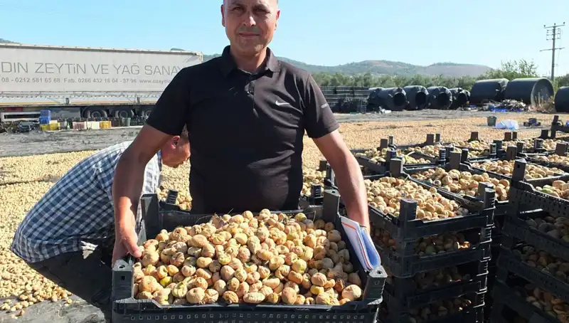 Balıkesir Tarımında Yeni Çağ: Çin ve Rusya'ya İhraç Başladı!