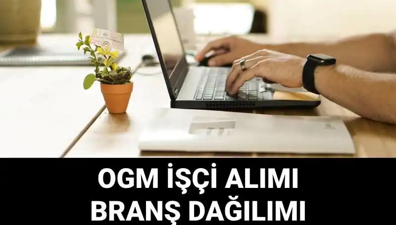 4500 Geçici İşçi Alımı: Orman Genel Müdürlüğü'nde Fırsatlar Sizleri Bekliyor!
