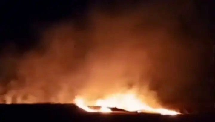 Tekirdağ'da 20 Dekar Buğday Alanı Yangında Kül Oldu: Tarım Afsanı Sonrası Ne Olacak?