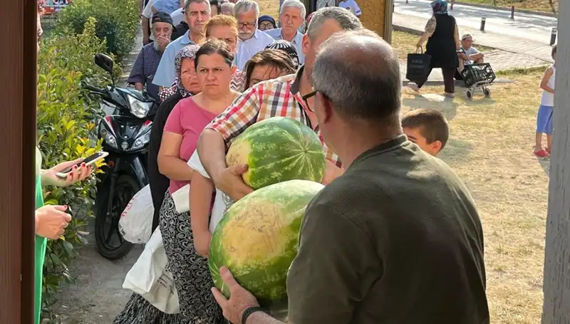 Tarlada Çürüyen Ürünler: Hasat Döneminde Ücretsiz Dağıtım Skandalı
