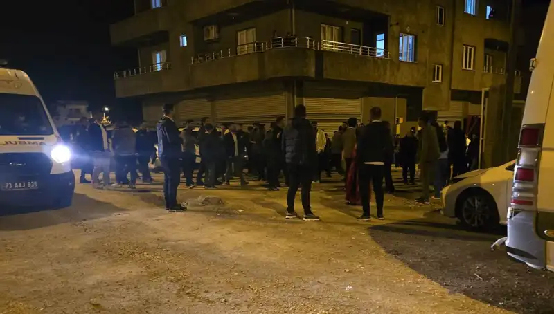 Şırnak'ta Taşlı Sopalı Kavga: 4 Kişi Yaralandı, Olayın Perde Arkası