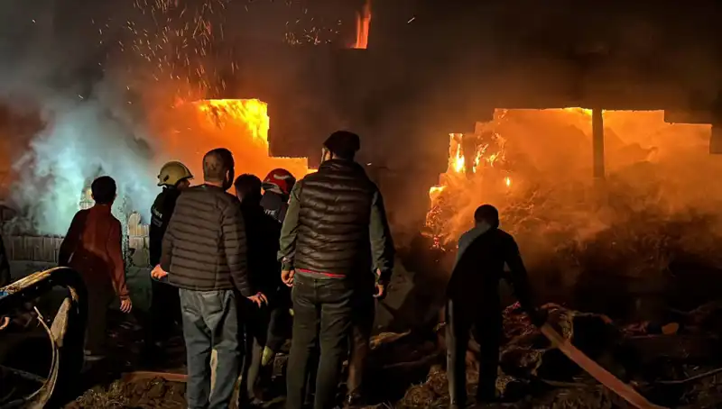Bolu'da Alev Alev Yanan Ahırda Hayvanlar Tehlikeye Girdi