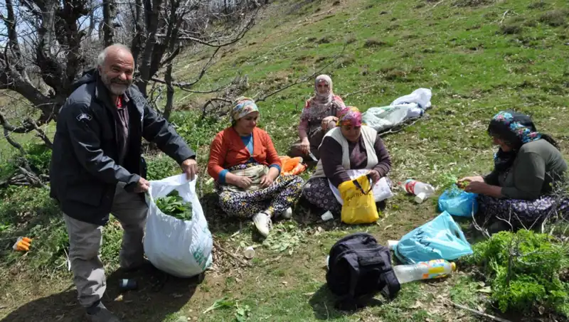 Yılda Beş Saat Yürüyerek Geçim Sağlayan Aileler: Kilo Başına 250 Lira Kazanıyorlar!