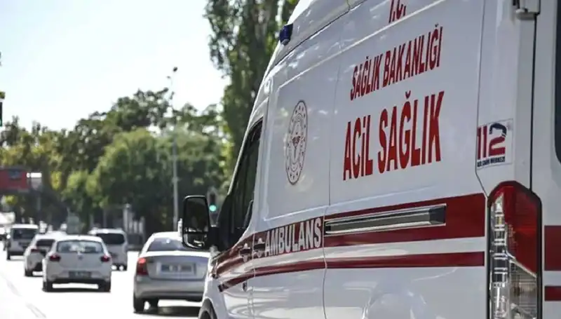 Apartmanda Yaşanan İlginç Olay: Böcek İstilasına Mangal Çözümü!