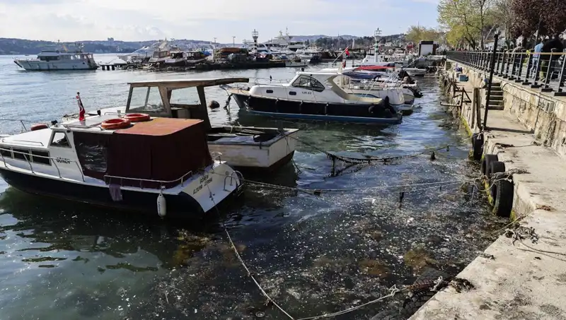 İstanbul'da Müsilaj Krizi Yeniden Kapıyı Çaldı: Denizdeki Tehlike