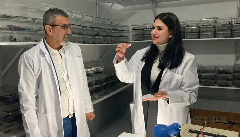 Akrep Zehri ve Şekerin Büyüleyici Dansı: Sağlık ve Lezzet İlişkisi